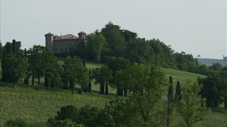 gallery 1