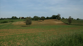 gallery 3