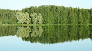 gallery 8